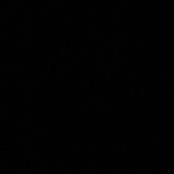 loonietoonz123